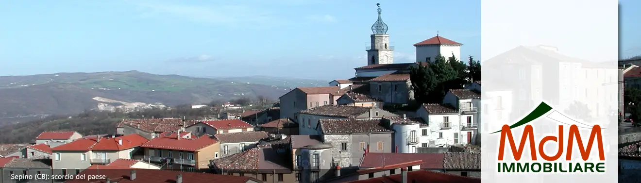 Torna alla Homepage
