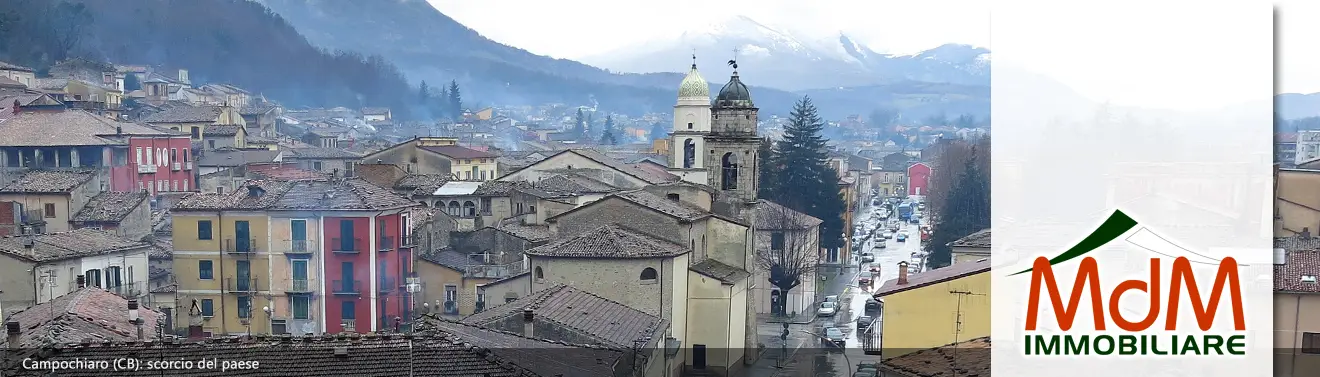 Torna alla Homepage