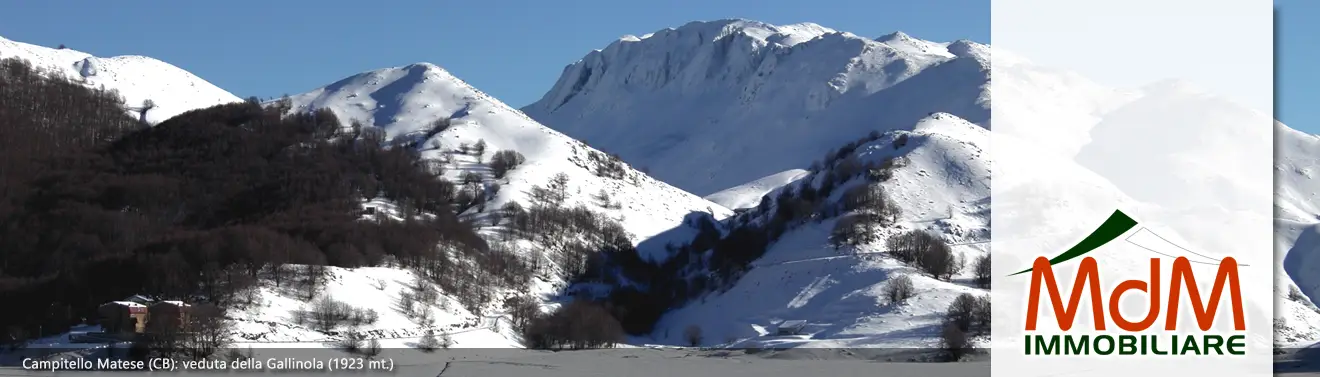 Torna alla Homepage