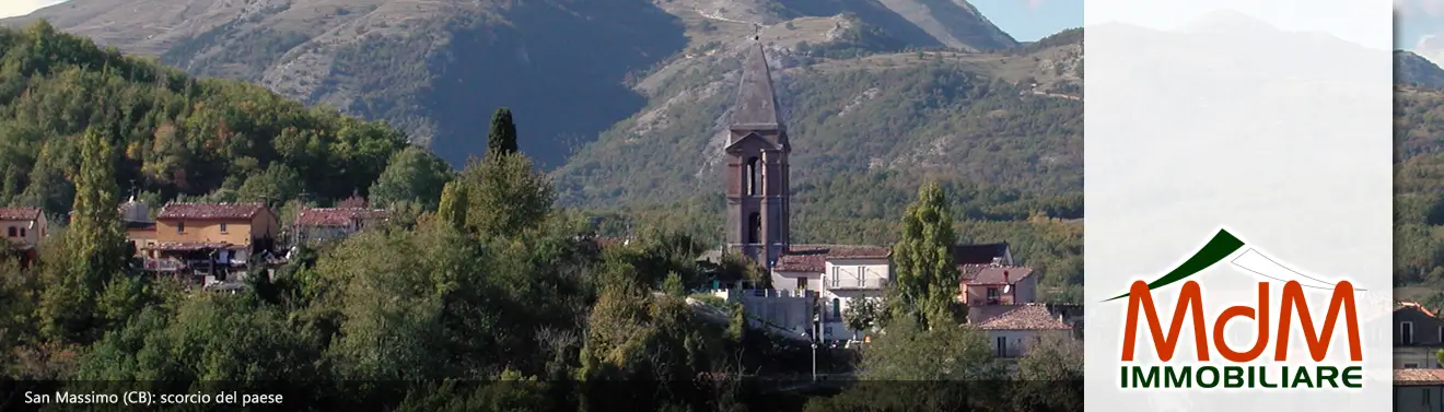 Torna alla Homepage
