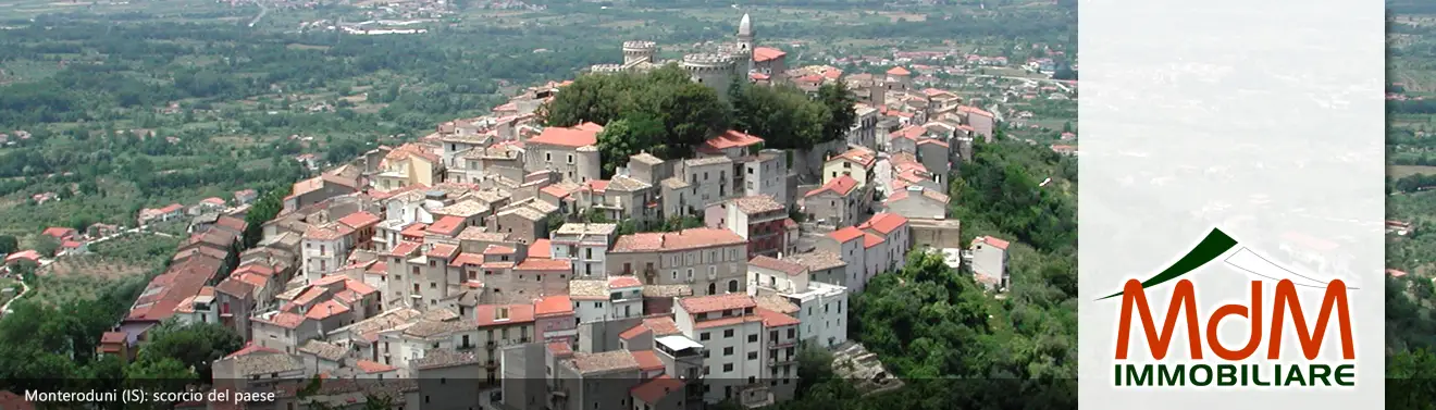 Torna alla Homepage